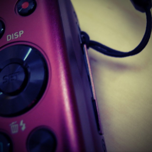 Foto: Michael Mahlke